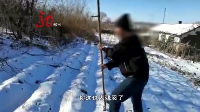 男子架设粘网 非法捕鸟 被警方抓个正着