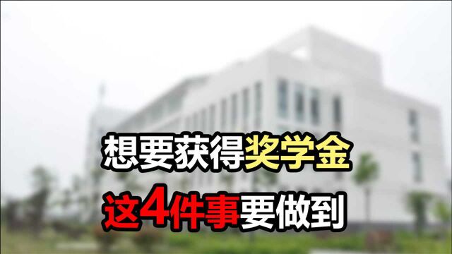 哪些大学生更容易获得奖学金?在校期间做好4件事,都是加分项