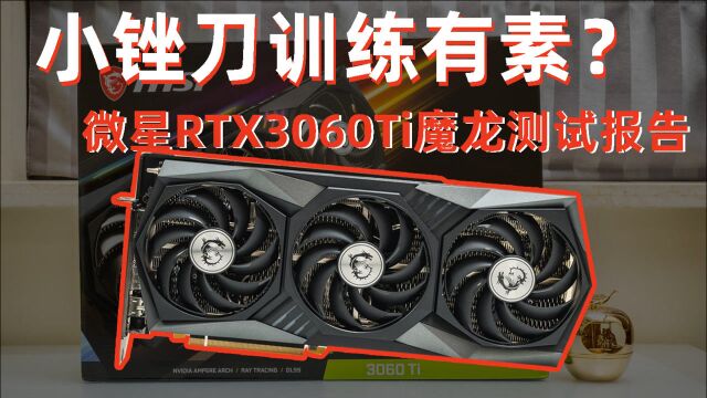 【茶茶】小锉刀训练有素?微星 RTX 3060TI 魔龙测试报告