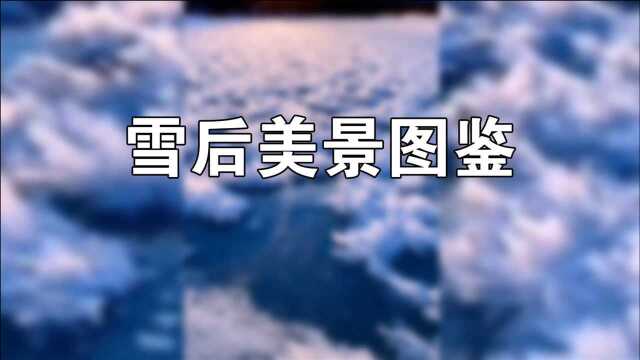 雪后美景图鉴,一秒让你进入冰雪童话世界,太美了!