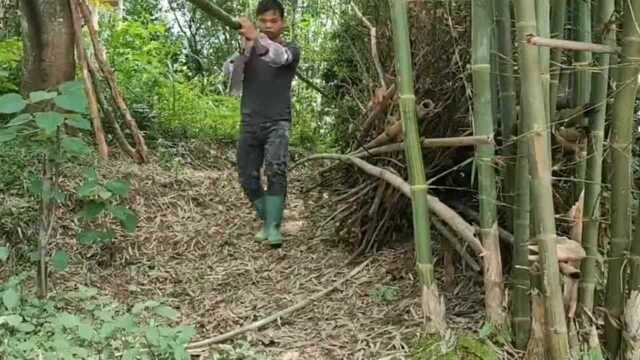 民间手艺人用竹子制作秋千全过程,成品出来后,孩子很喜欢