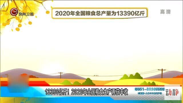 13390亿!2020年全国粮食生产再获丰收