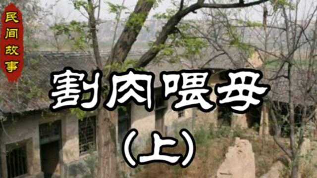 民间故事《割肉喂母》上集