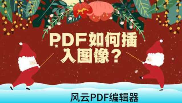 PDF如何插入图像?