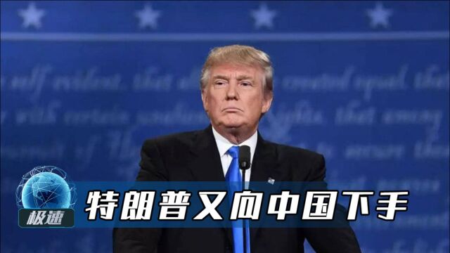 美国又下黑手?特朗普签署外国公司问责法案,旨在针对中国