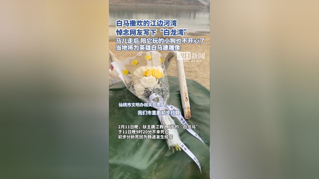 白马撒欢的江边河湾,悼念网友写下“白龙湾”当地将为英雄白马建设雕像