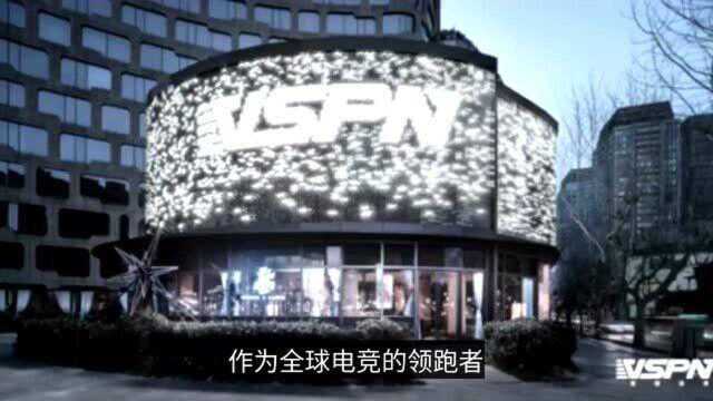 011中国电竞的传递者,英雄体育VSPN扬名海外