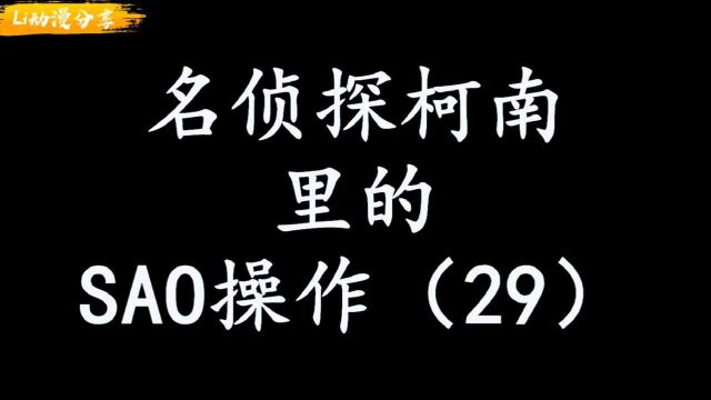 柯南里的SAO操作(29)