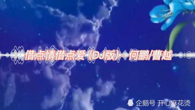 一首经典情歌《借点情借点爱》,DJ何鹏版,好听醉了