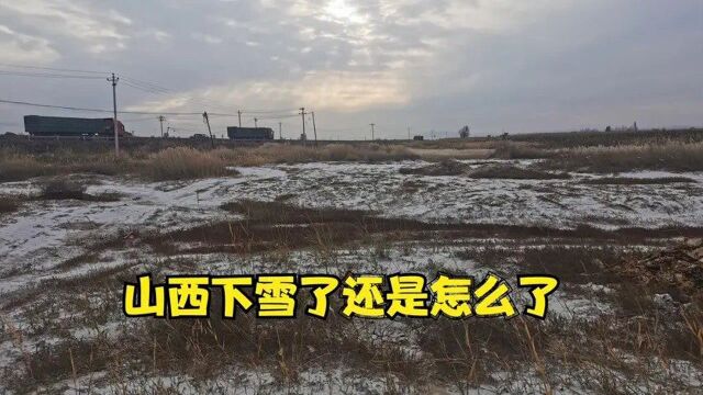 果果朵以为山西朔州农村下雪了,地上全是白色,看看到底是什么?