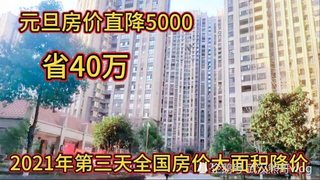 元旦第三天2021年全国房价大面积降价,元旦直降5000,省40万