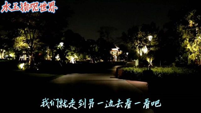 漫步入夜的漳州南湖生态文化园,邂逅秀外慧中的南山书院