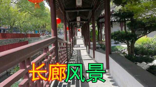 上海郊区有一个长廊,很少有人见过,风景太漂亮了长廊风景