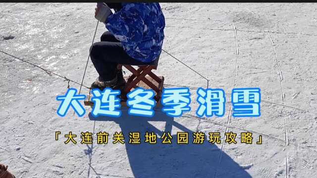 大连前关湿地公园湖面结冰,被大雪覆盖,成为免费的天然滑雪场