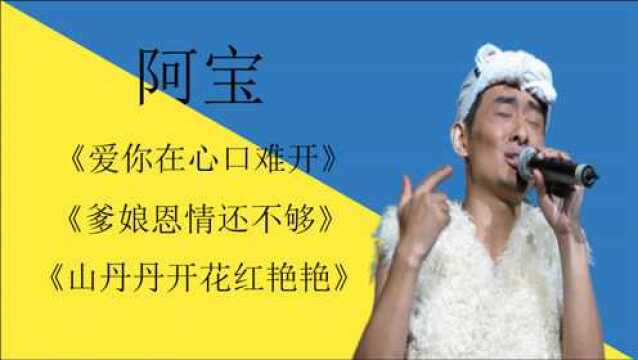 阿宝的成名歌曲《山丹丹开花红艳艳》,不愧是草根歌手,好听