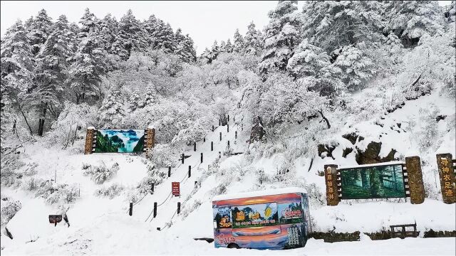 实拍湖北神农顶最美雪景,亲身体验冰天雪地,感觉真好