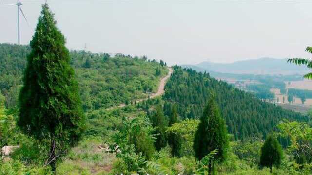 修路遇上烈士的墓,为全村致富战友含泪迁坟#石头村变形记