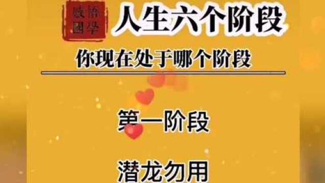 人生分为六个阶段,你现在处于哪个阶段呢?