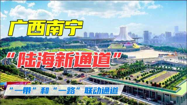 广西南宁经济西部陆海新通道的重要节点或中心 枢纽经济加快发展