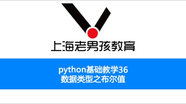 python基础教学之36 数据类型之布尔值