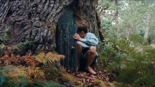 豆瓣8.1：男孩发现4万年前树洞，能去另一个世界，进去后不想出来