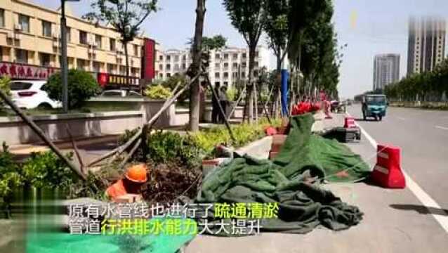 70秒|解决城区内涝 东营区新建改造雨水口860处