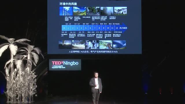 来自微风的能量|杨亚|TEDxNingbo