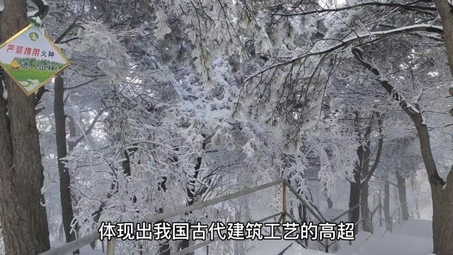 中岳嵩山峻极峰徒步到法王寺,全程2个小时,下山景色都能这么美