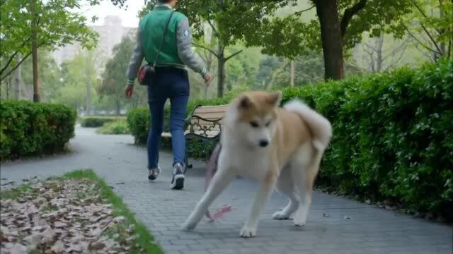 大好时光:韩东君和女友甜蜜拥吻,网友:心疼韩东君!