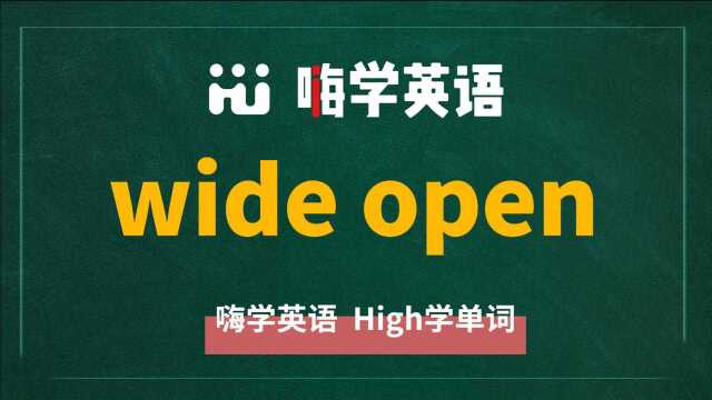 英语单词讲解,短语wide open的翻译、读音、相关词、使用方法讲解