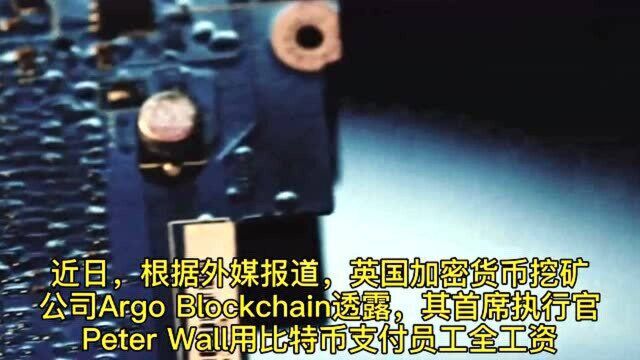 比特币“成为”工资?网友:贬值了怎么办