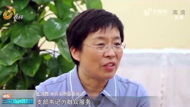 平原县委书记王洪霞:党支部领办合作社是抓手,四种优势相结合适合现代农业发展