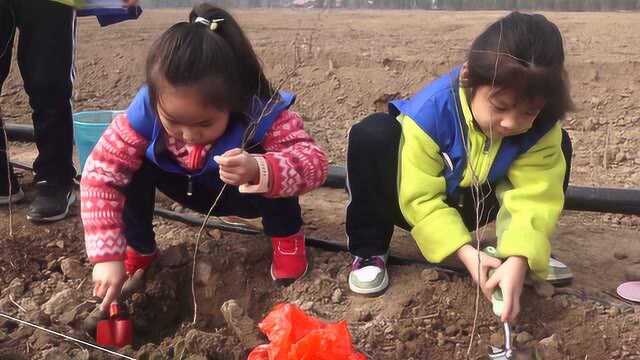 “种下一颗树、收获万点绿”2021年新华小记者植树节#剧说经典征稿#