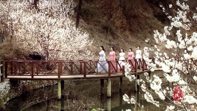 不舍春日美景 青岛西海岸杨家山里赏无限风光