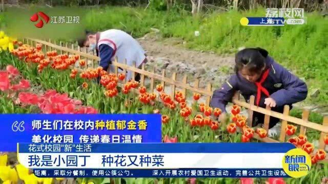 种花又种菜 花式校园“新”生活 小园丁种下郁金香花海