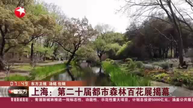 上海:第二十届都市森林百花展揭幕