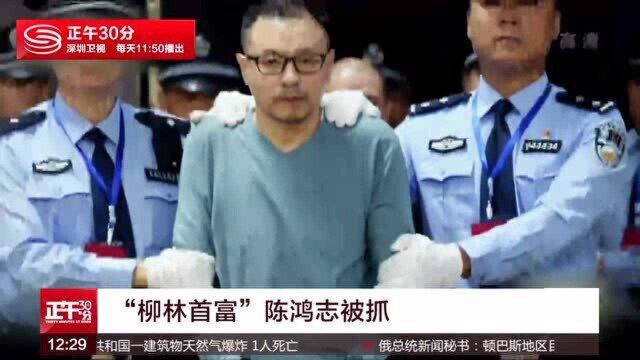 《正义守望者》:“柳林首富”陈鸿志被抓