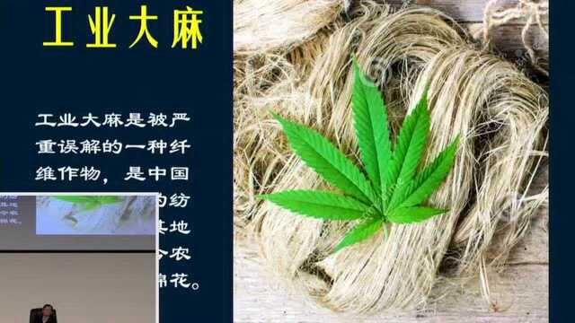 作物历史与中国社会——五谷的传说和史实