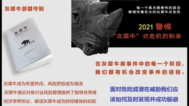 《灰犀牛》面对危险或潜在威胁,我们应该如何及时发现并成功躲避