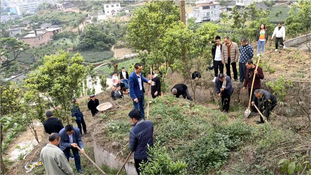 清明节文明祭祀,敬祖先不一定要烧纸,修缮祖坟才是孝心!