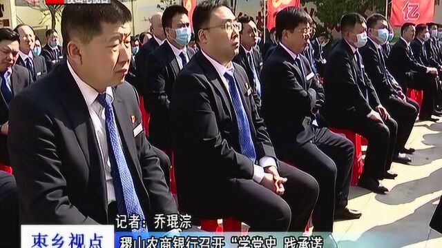 枣乡111 稷山农商银行召开“学党史 践承诺 我为群众办实事 '党建+整村授信'”推进会