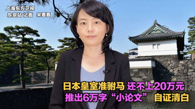 日本皇室准驸马还不上20万元 写小论文自证清白