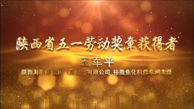 “用学习强大自身 用专业书写豪情”陕西省五一劳动奖章——王军平