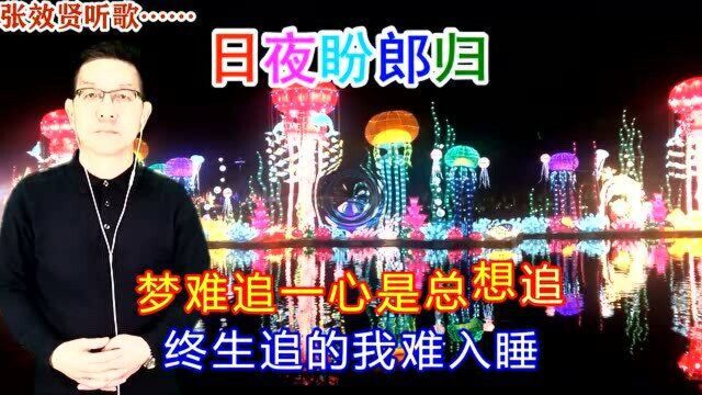 林翠萍演唱的《日夜盼郎归》旋律优美,深情好听