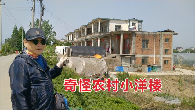 奇怪农村小洋楼!不建院子建大棚为哪般?听农民怎么说