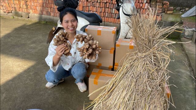 小秀卖农村土生姜,这些好看完整的老黄姜,市场上很难买得到