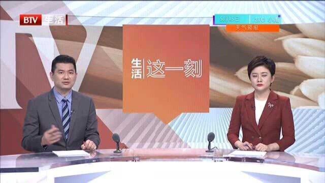 朝阳警方“掐断”电信诈骗链条 顺藤摸瓜 打掉诈骗分子“帮凶”