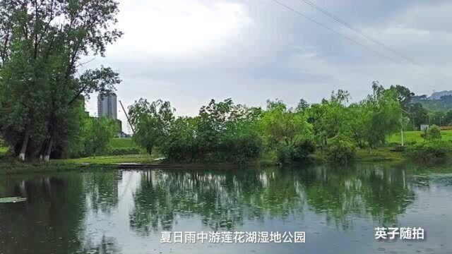 四川达州:雨中游莲花湖别有一番韵味 莲花湖湿地公园值得一游