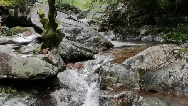 义乌周边游—曹宅岩后村水库库尾里面金兰古道山水景色集锦