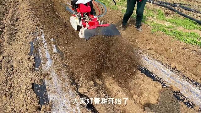 微耕机实用之王,种植根茎类作物1台足够,开沟整地起垄全搞定赶紧去看看吧!